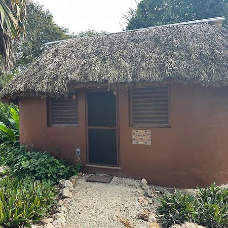 The Pickled Onion B&B And Restaurant Uxmal ซานตา เอเลนา ภายนอก รูปภาพ