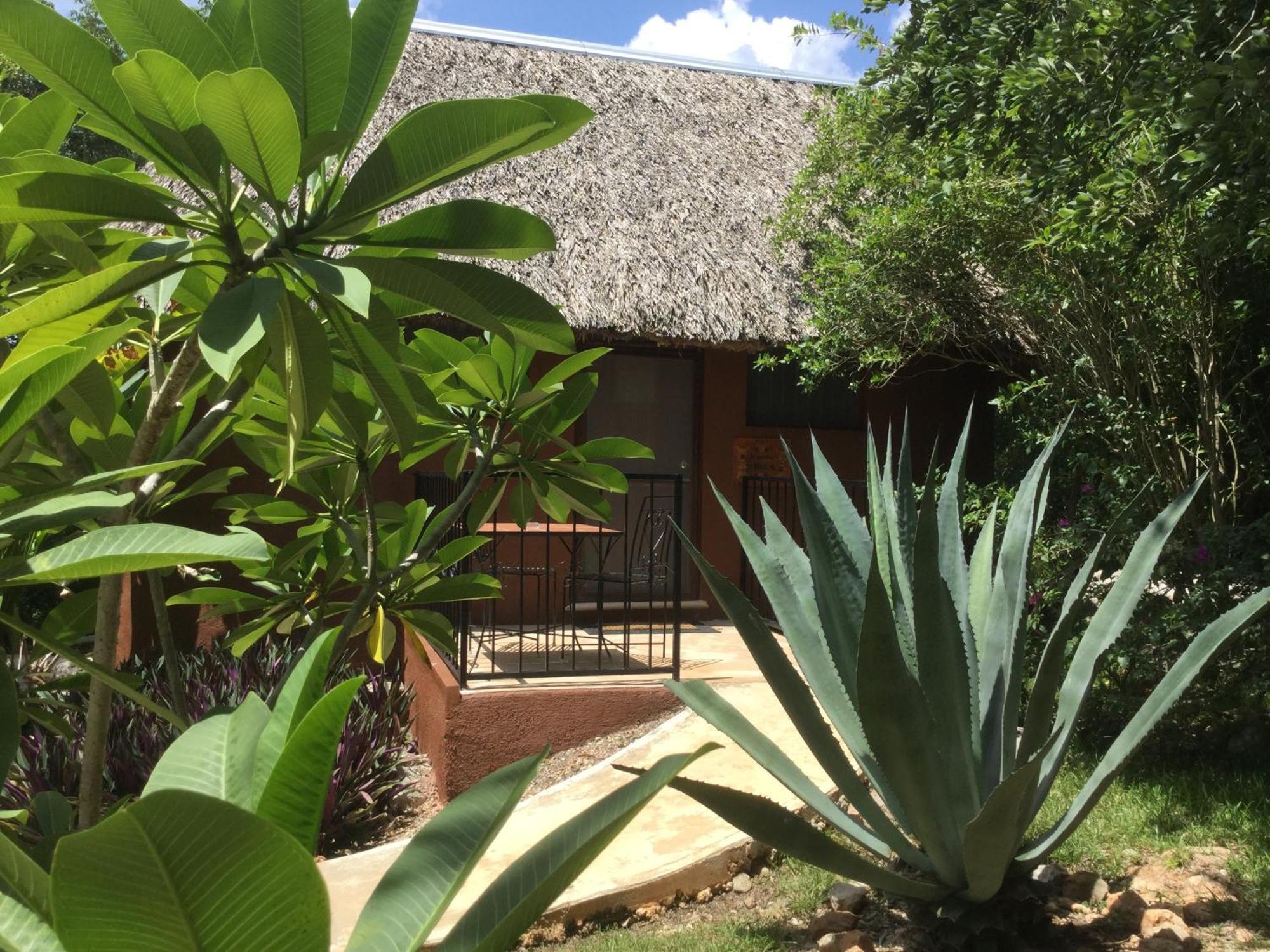 The Pickled Onion B&B And Restaurant Uxmal ซานตา เอเลนา ห้อง รูปภาพ