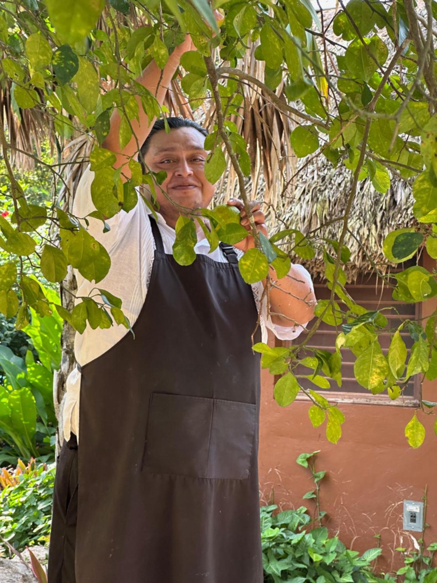 The Pickled Onion B&B And Restaurant Uxmal ซานตา เอเลนา ภายนอก รูปภาพ