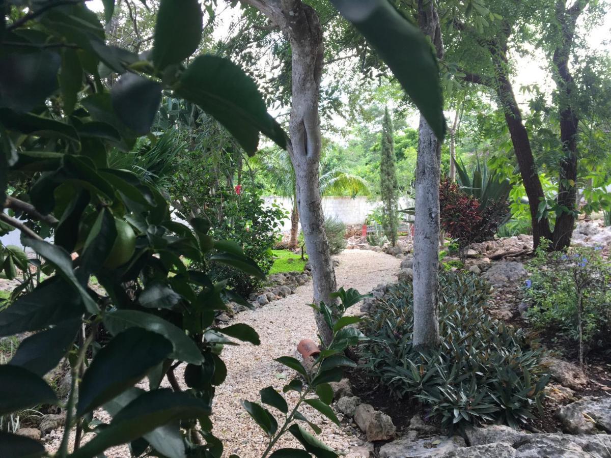 The Pickled Onion B&B And Restaurant Uxmal ซานตา เอเลนา ภายนอก รูปภาพ