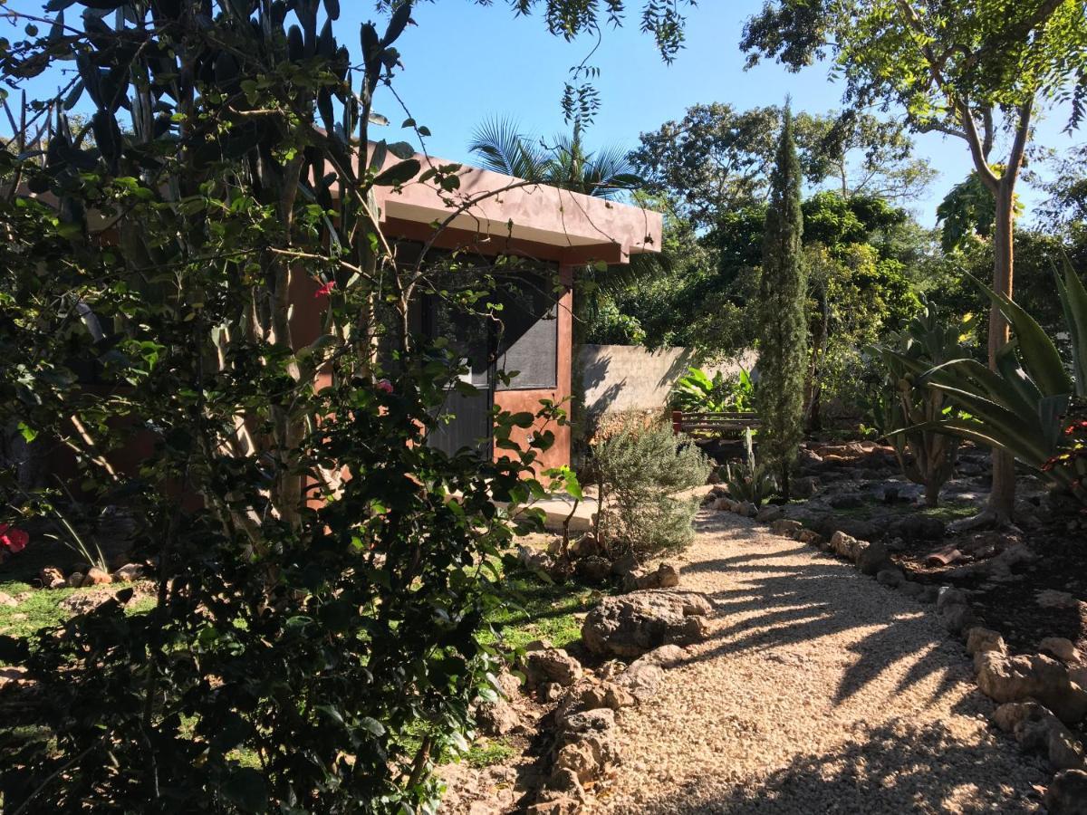 The Pickled Onion B&B And Restaurant Uxmal ซานตา เอเลนา ภายนอก รูปภาพ